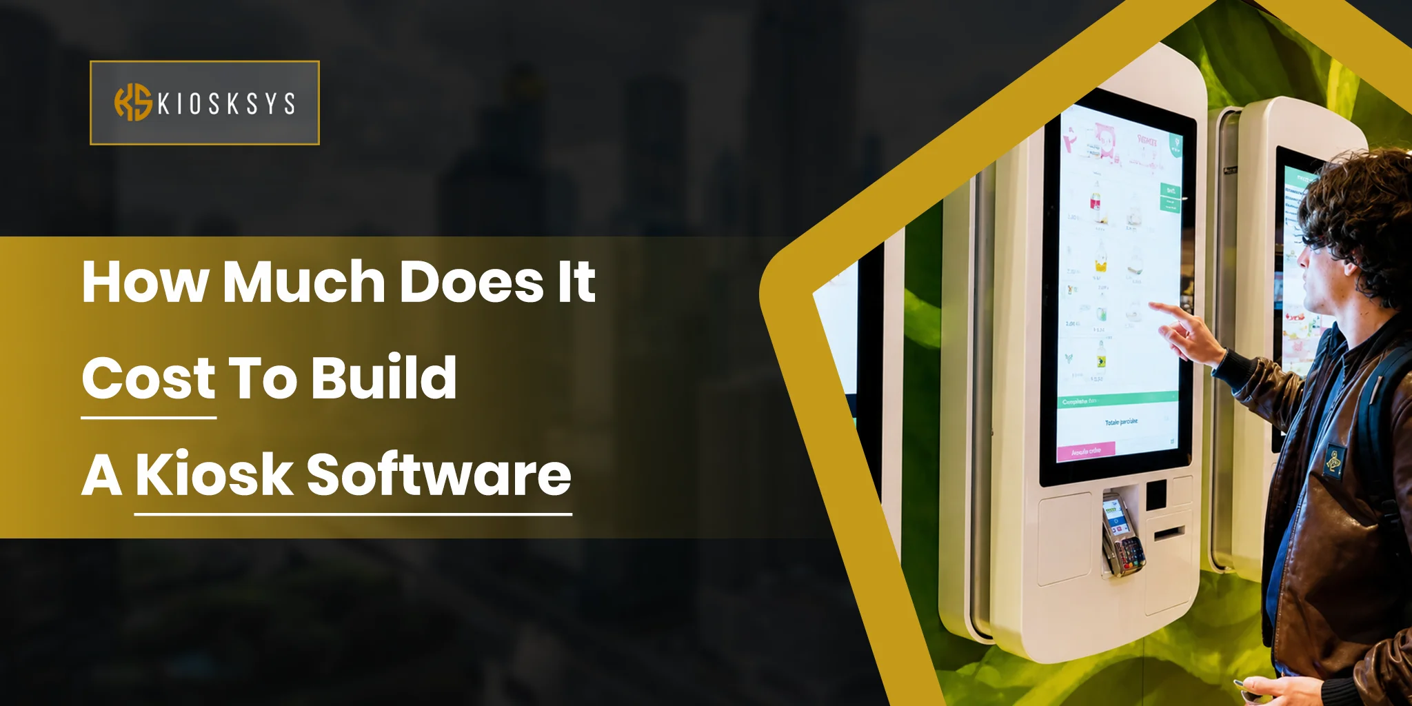 Kiosk Software Development Cost